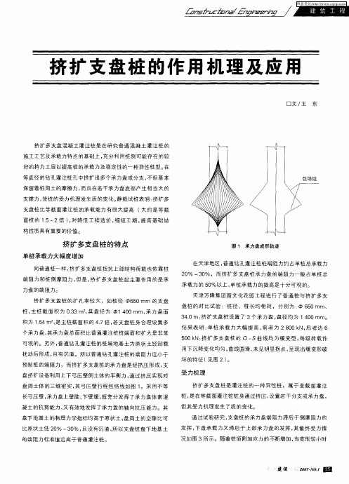 挤扩支盘桩的作用机理及应用