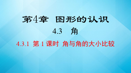 2023-2024学年湘教版数学七年级上册 4.3 角