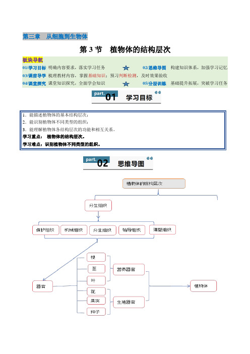 植物体的结构层次练习