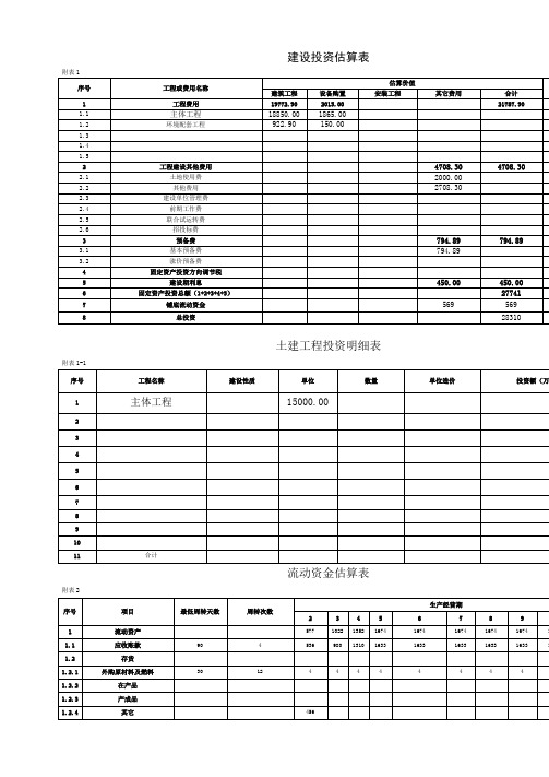 项目投资财务分析报表