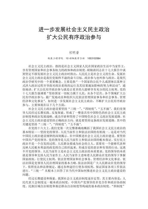 进一步发展社会主义民主政治 扩大公民有序政治参与