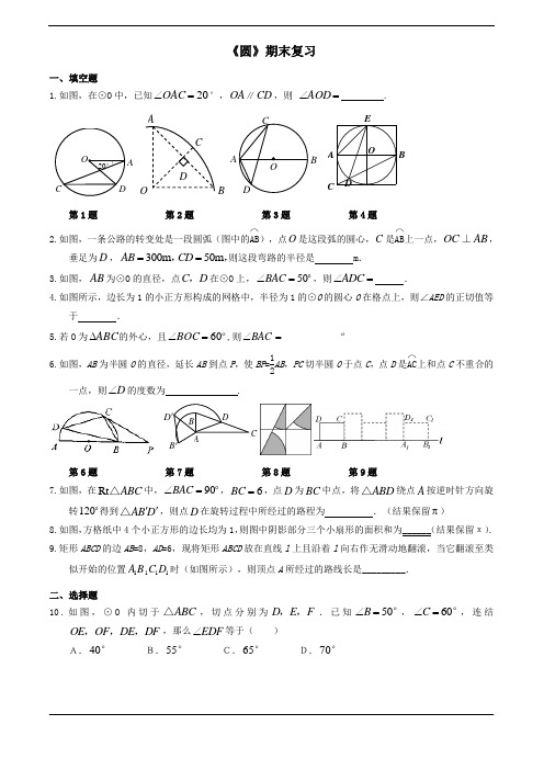 《圆》期末复习