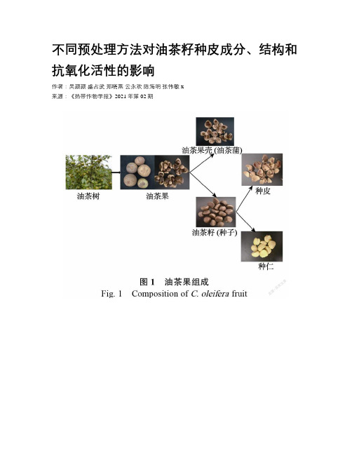 不同预处理方法对油茶籽种皮成分、结构和抗氧化活性的影响 