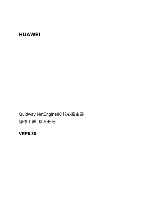 HUAWEI Quidway NetEngine80 核心路由器 说明书 接入分册