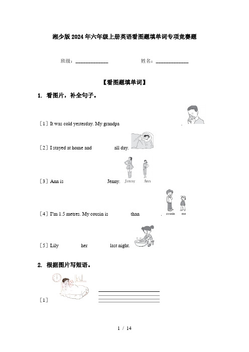 湘少版2024年六年级上册英语看图题填单词专项竞赛题