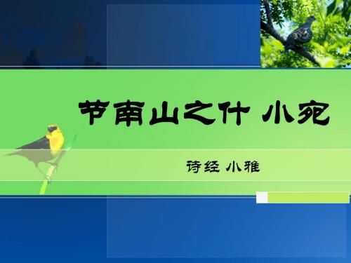 小宛小雅节南山之什诗经注释译文赏析