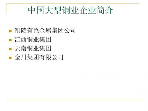 我国大型铜业企业简介