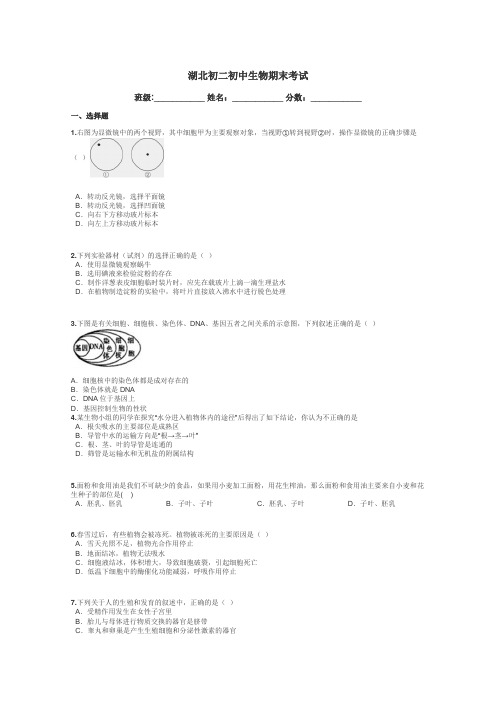 湖北初二初中生物期末考试带答案解析
