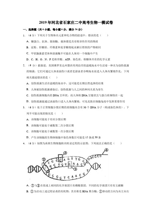 2019年河北省石家庄二中高考生物一模试卷   解析版