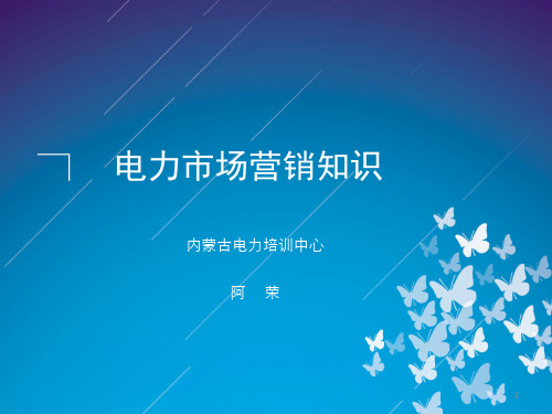 国内外电力市场种类PPT课件