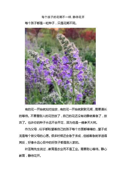 每个孩子的花期不一样,静待花开