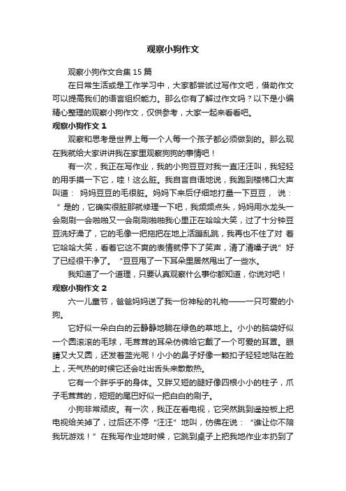 观察小狗作文合集15篇