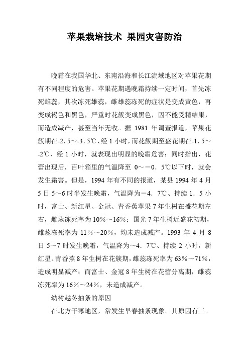 苹果栽培技术 果园灾害防治