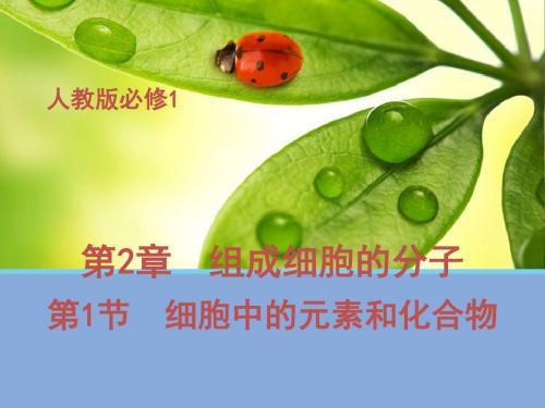 《教师参考》新课标人教版(高中生物)必修1同课异构课件2.1细胞中的元素和化合物2