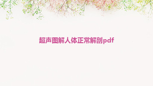 超声图解人体正常解剖pdf