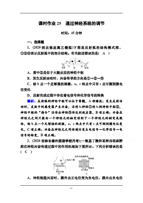 人教版高考生物大一轮总复习第25讲通过神经系统的调节