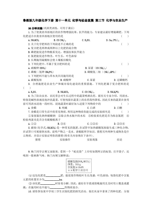 鲁教版九年级化学下册 第十一单元 化学与社会发展 第三节 化学与农业生产 同步练习(含答案)