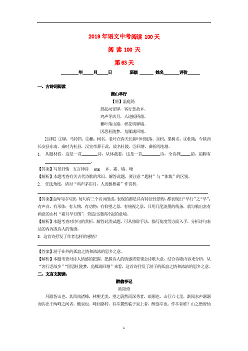 2019中考语文阅读训练(62)(含解析)