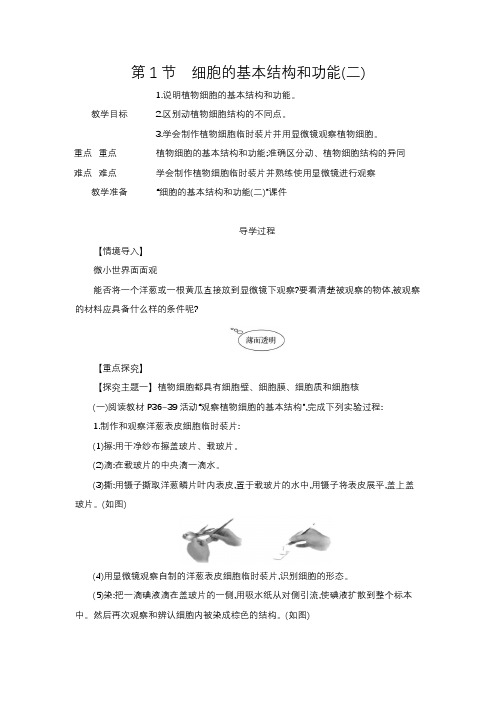 2.2.1 细胞的基本结构和功能(二)  教案(含答案) 生物学北师版七年级上册