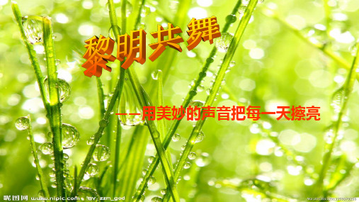 现代诗7:《雨后》