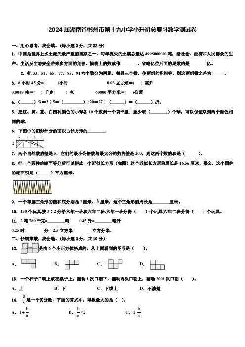 2024届湖南省郴州市第十九中学小升初总复习数学测试卷含解析