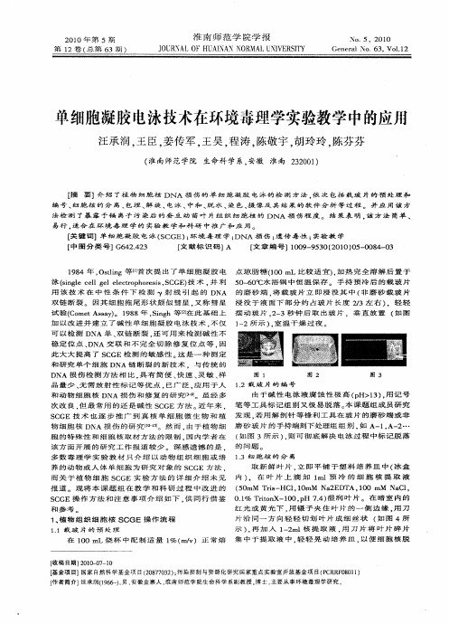 单细胞凝胶电泳技术在环境毒理学实验教学中的应用