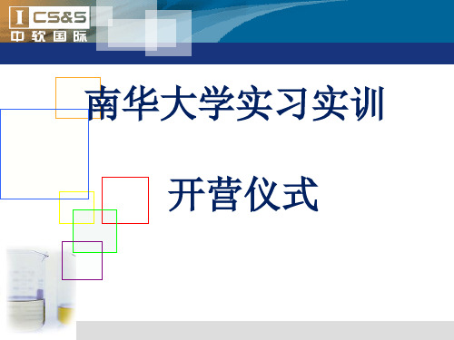 中软国际公司介绍