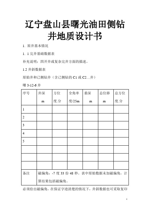 辽宁盘山县曙光油田侧钻井地质设计书