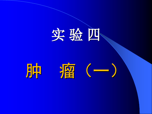 4.肿瘤一   温州医科大学   基础医学院病理学实验讲义