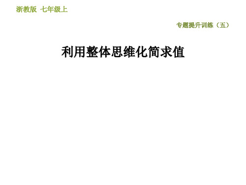 2019秋浙教版七年级上册数学习题课件：专题提升训练(五)(共13张PPT)