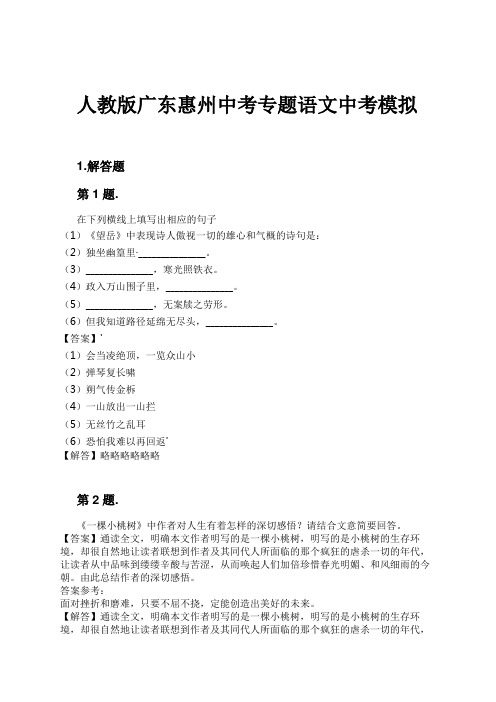 人教版广东惠州中考专题语文中考模拟试卷及解析