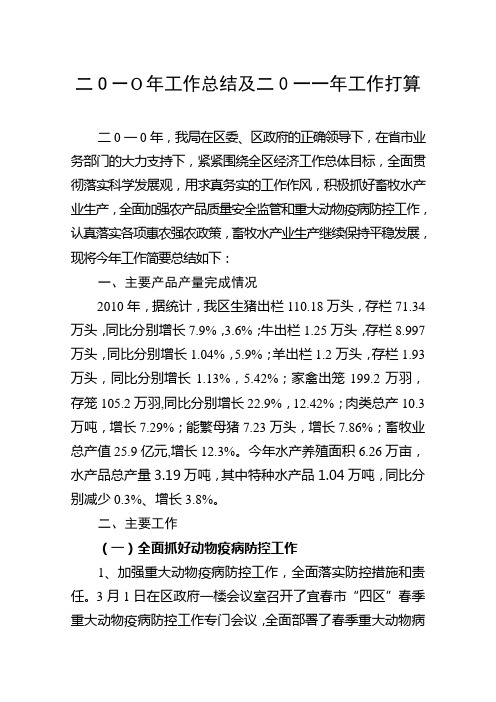 二O一O年工作总结及二0一一年工作打算复习过程