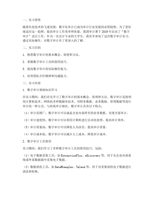 数字审计实习报告