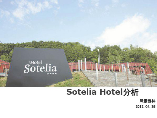 (精品)SoteliaHotel山地度假酒店分析