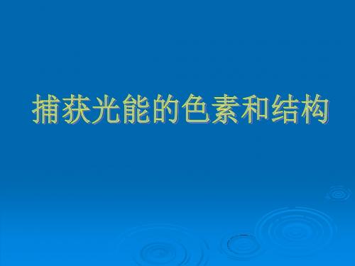 人教版教学课件云南省弥勒县庆来中学2011-2012学年高一生物捕获光能的色素和结构课件课件