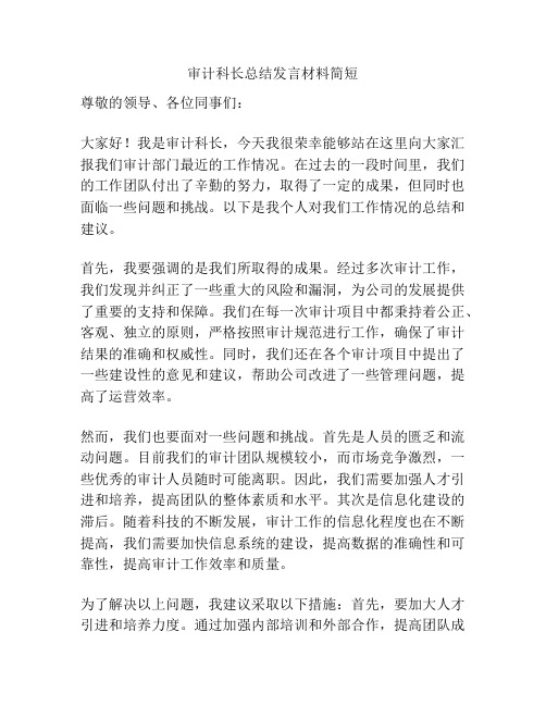 审计科长总结发言材料简短