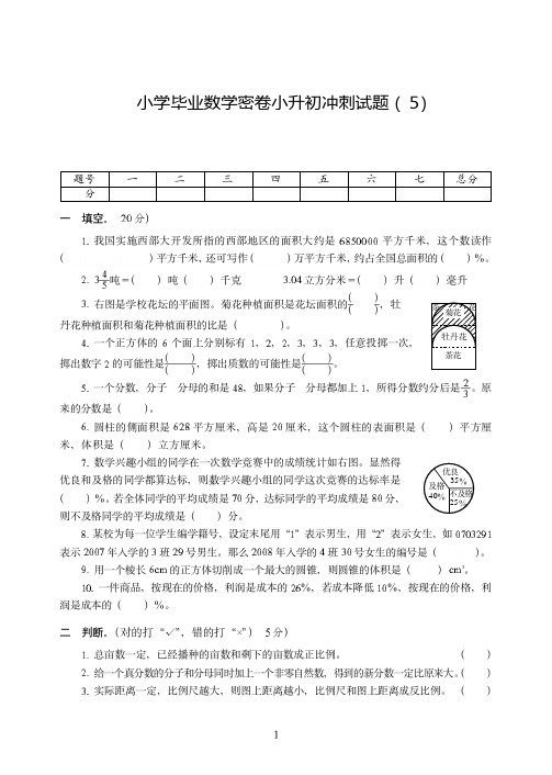 徐州市2019-2020小学毕业数学密卷小升初冲刺附试题详细答案( 5)