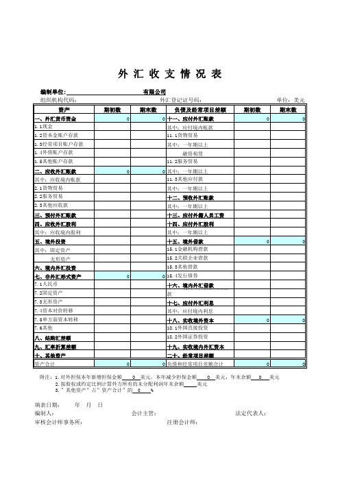 外汇收支情况表模板