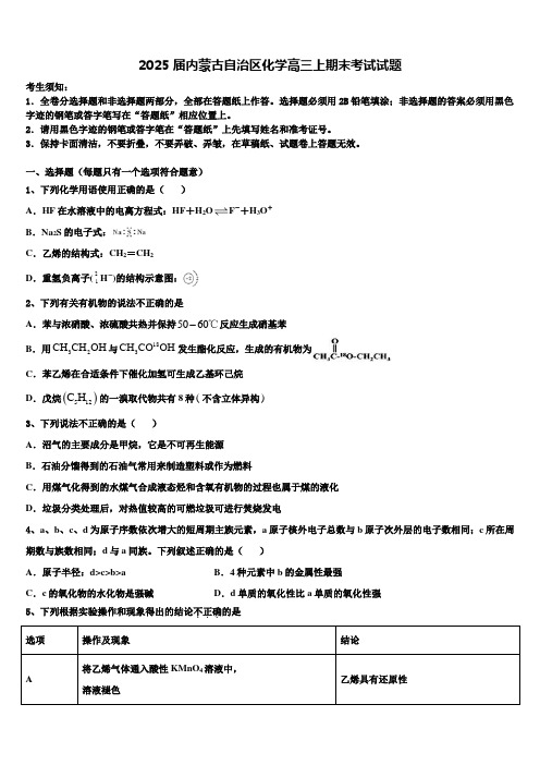 2025届内蒙古自治区化学高三上期末考试试题含解析