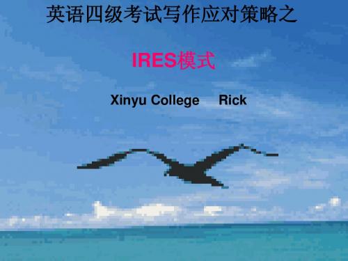 IRES写作(新)