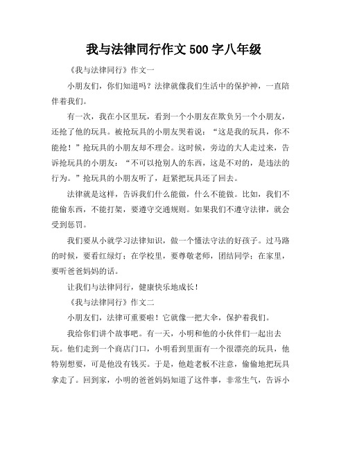 我与法律同行作文500字八年级