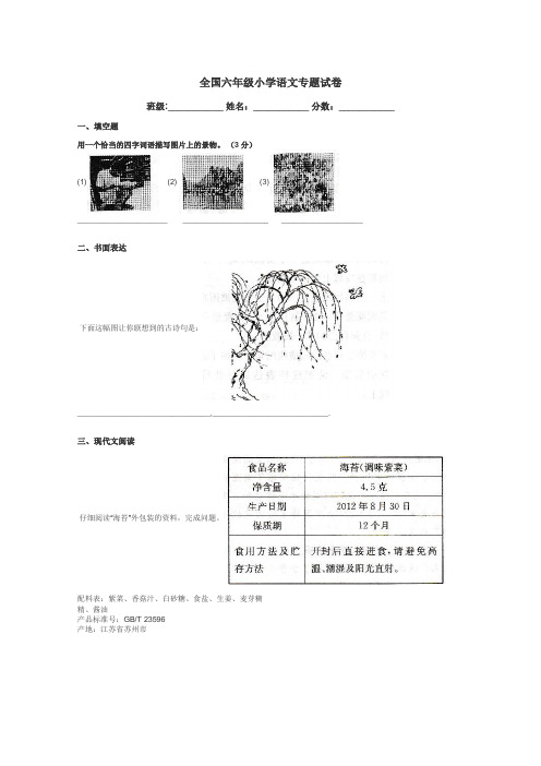 全国六年级小学语文专题试卷带答案解析
