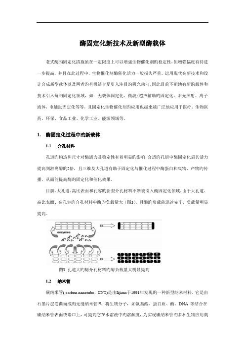 酶固定化新重点技术及新型酶载体