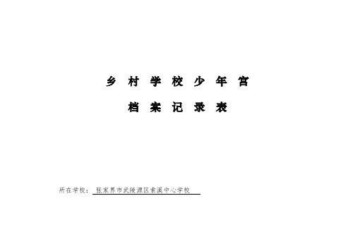 乡村学校少年宫档案记录表.doc