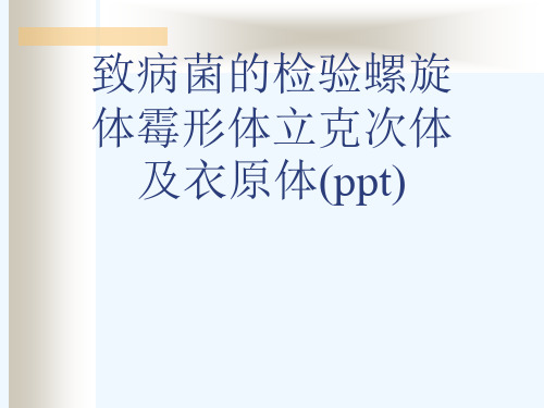 致病菌的检验螺旋体霉形体立克次体及衣原体(ppt)