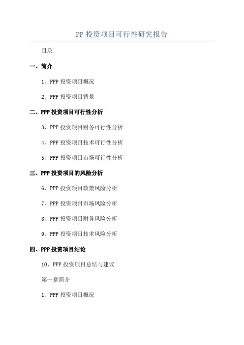 PP投资项目可行性研究报告