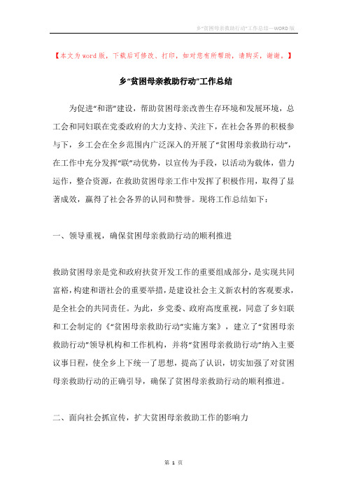 乡“贫困母亲救助行动”工作总结