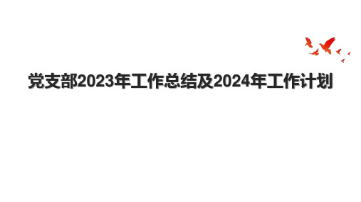 党支部2023年工作总结及2024年工作计划