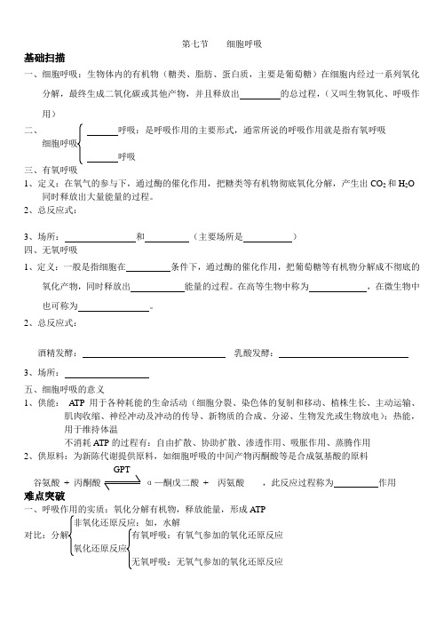 呼吸作用与代谢类型