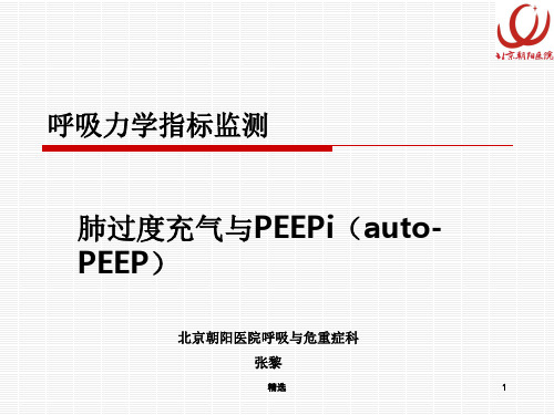 呼吸力学指标监测：肺过度充气与PEEPippt课件